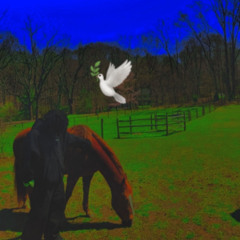 rip skel#🕊️🕊️ #mixx