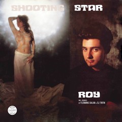 Roy - Shooting Star (DJ TinTin Remix)