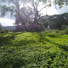 Antes de la tormenta