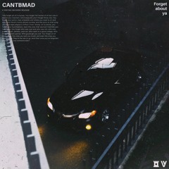 Vesin - Cantbmad
