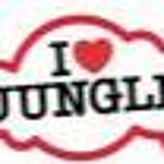 DJ Raggamuffin Whiteman - RaggaJungle_Dubplate_Mix