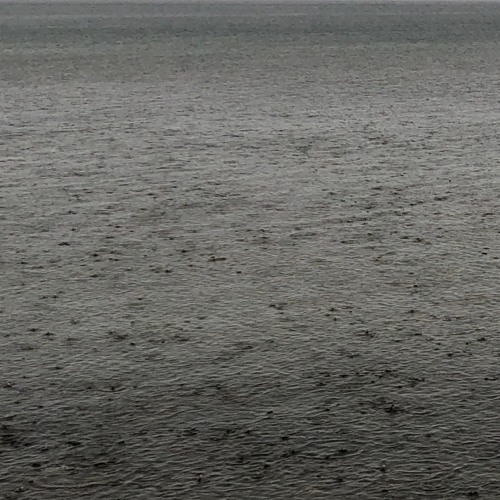 Disparat