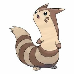 A Caminar con #Furret :3