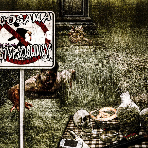 stepsoslimey w/ kastles (pockyco & trapak4ri)