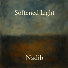 151 - Softened Light