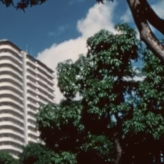 the baddie from Pará
