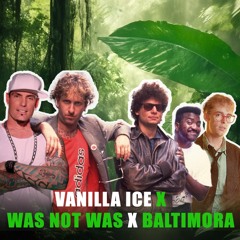 Baltimora Ft. Vanilla Ice, Was & Murray Head - Jungle Evolution (The Mashup)