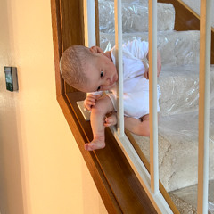 muffin (2weird2live)