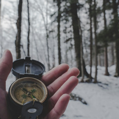 Searching
