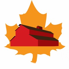 The Black Figurine Of Death