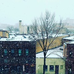 Project comeonin testing 123