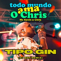 Kevin o Chris - Tipo Gin (DJ BDF Remix)