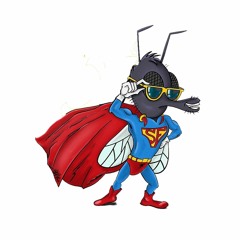 Supafly (Instrumental)