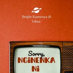 Nginenkani ft Vibez
