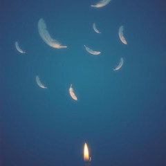Feathers & Flame