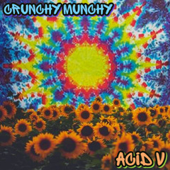Acid V - Techno Party