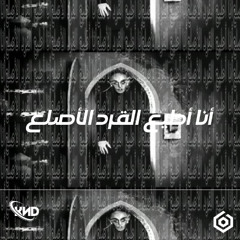 NOSSFERATU