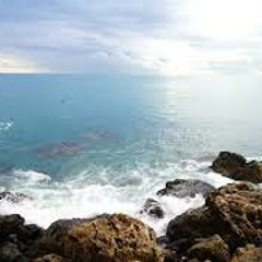 Beautiful instrumental music for relaxation and reflection Background music Stress-relieving