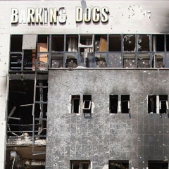 BARKING DOGS - Swiss 924 BT remix