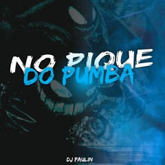 MTG - NO PIQUE DO PUMBA - (  DJ PAULIN  )