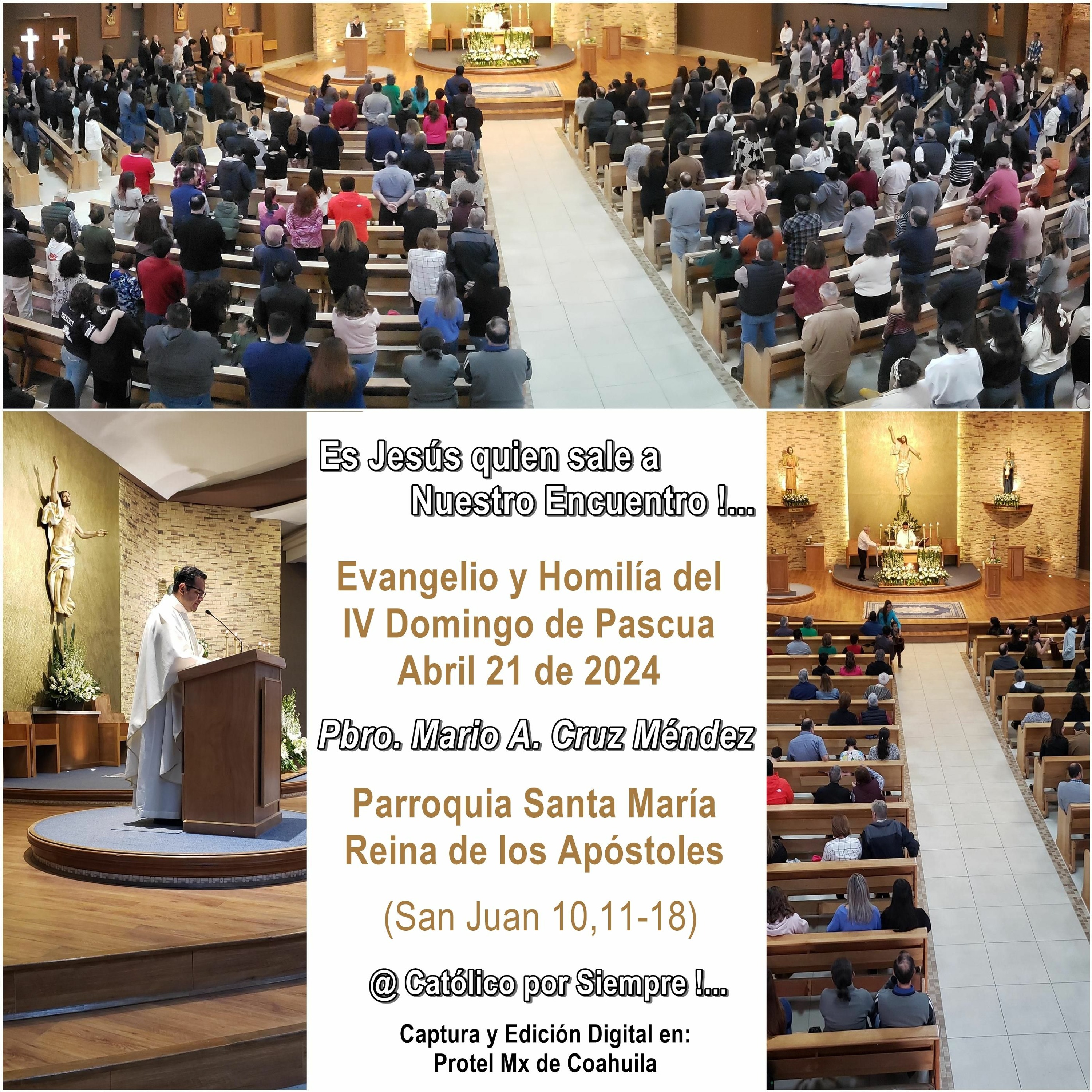 SAMARA_Saltillo #2019