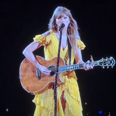 Better Than Revenge Live At The Eras Tour