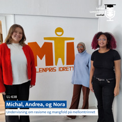 LL-638: Undervisning om rasisme og mangfold på mellomtrinnet