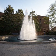 Tanner Interview at Herty Fountain