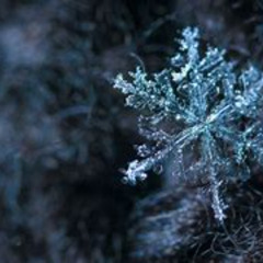 Orions Snow (REMASTERED)