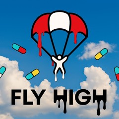 Maximillian - FLY HIGH (prod. metlast)