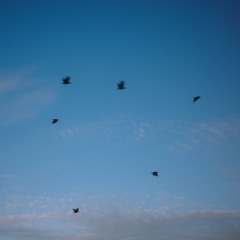 Clair De Lune 130 Bpm
