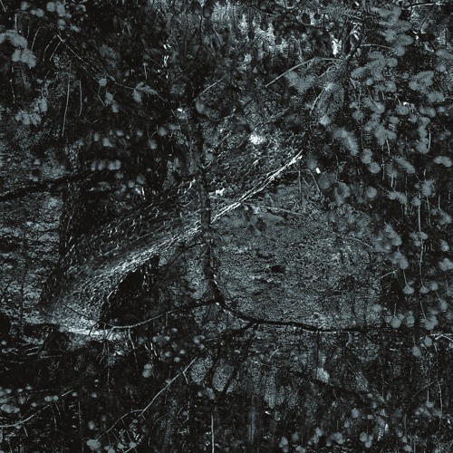 RUNNING ON THE EDGE (prod. noise)