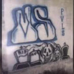 MS 13 PROYECTOS LS FT PARKVIEW LS