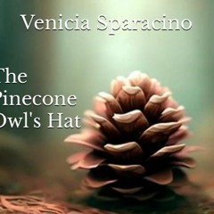 ⭐ READ EBOOK The Pinecone Owl's Hat Free