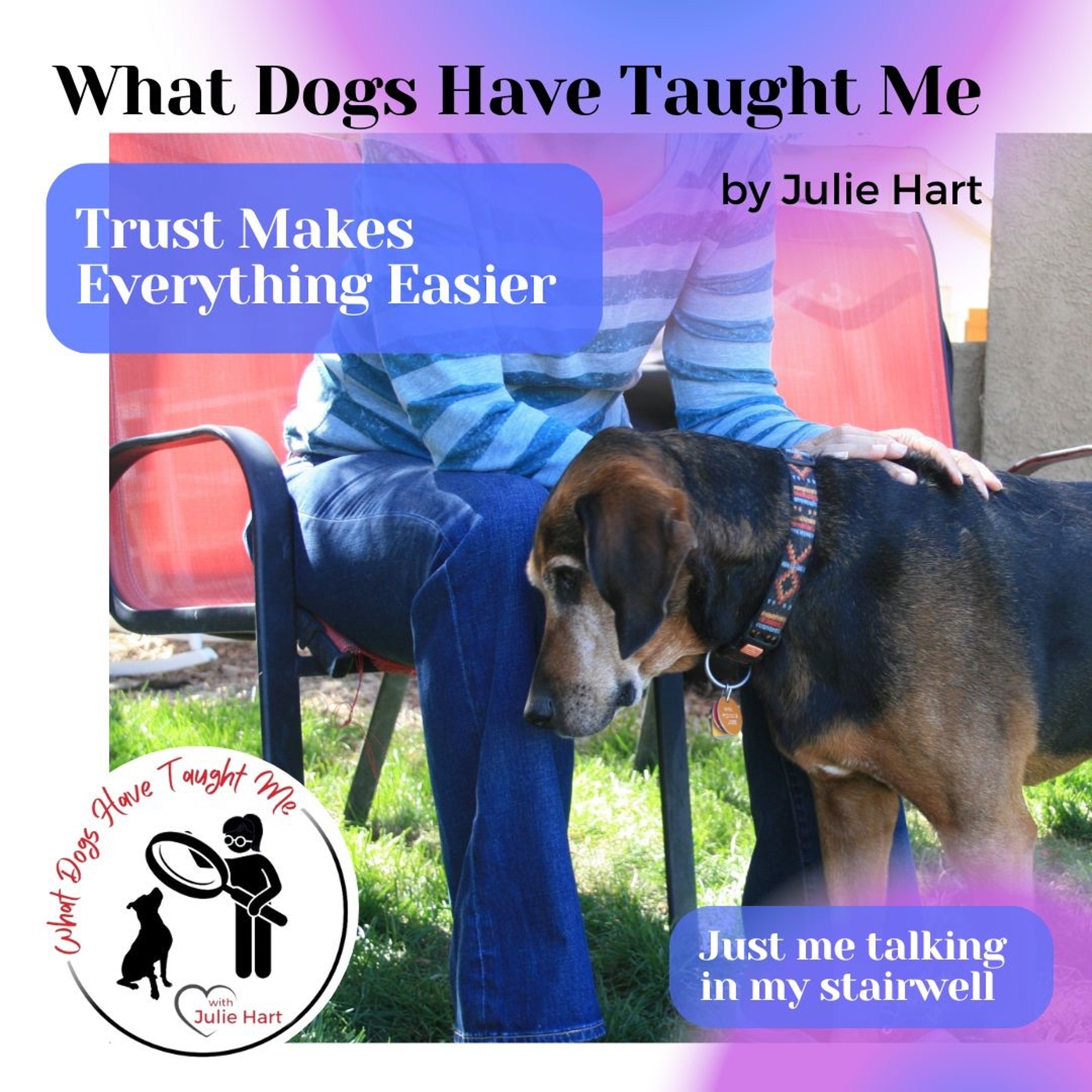 What Dogs Have Taught Me