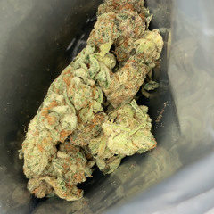 Loud mr polo chief , Wolf ft Isolud