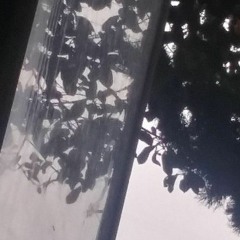untitled 1