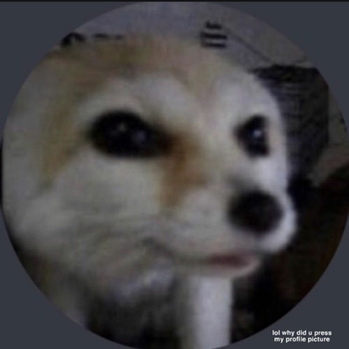 osquinn (p4rkr) - i hate it here