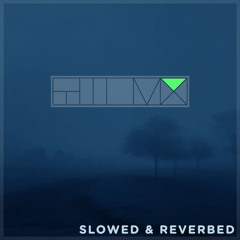 It's cold outside (Slowed & Reverbed)