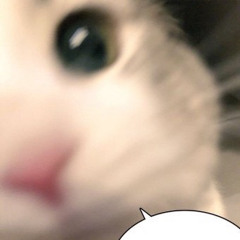 렌 LOCO (9/00 pm)