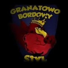 PSonTour - Sami przeciwko wszystkim (POGOŃ SZCZECIN)