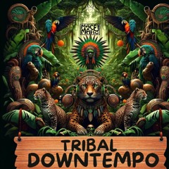 Tribal Shamanic Organica Downtempo - Live DJ-Set