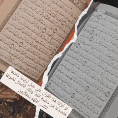 المصحف كامل بصوت مشاري راشد 🤎