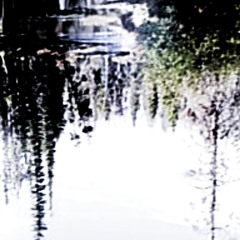 MIZZIM - Hedge - 13 I beyond