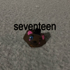 seventeen