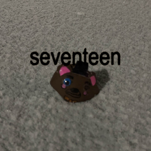 seventeen