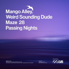 WEIRD SOUNDING DUDE & MAZE 28 Passing Nights