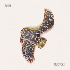 Snippet - Inner Voice ( out 5th nov)