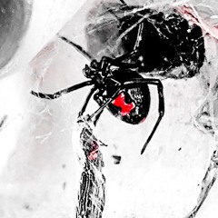 MARCELINE P. SEANYBO