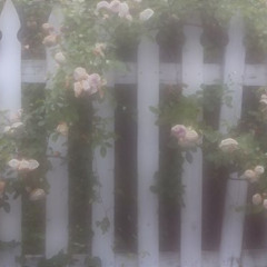 ยังคงอยู่ในห้วง